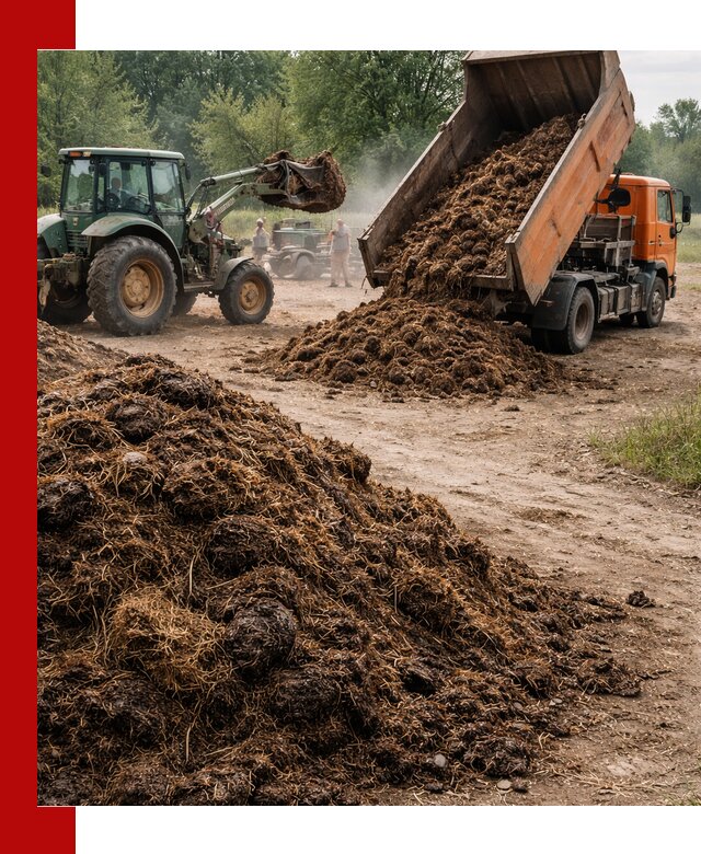 Доставка навоза самосвалами в Улан-Удэ для сельхозпотребностей