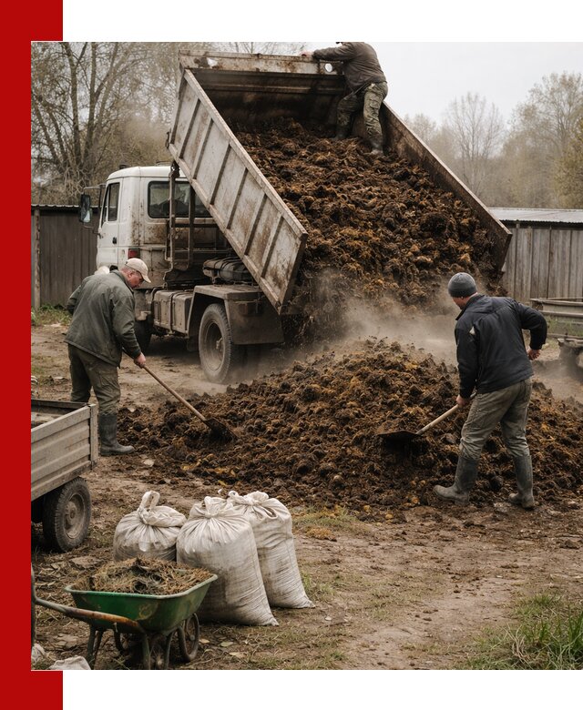 Доставка коровьего навоза самосвалом в Улан-Удэ